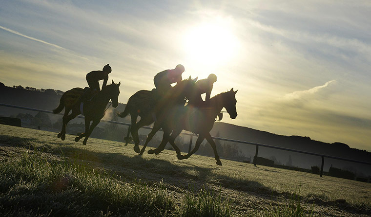 Cheltenham Retrospective: Horse Racing 2011 Cheltenham Festival  Cheltenham Racecourse