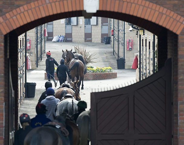 Cheltenham Retrospective: Cheltenham Gallops