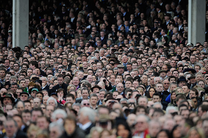 Cheltenham Retrospective: Cheltenham crowd watch the first race