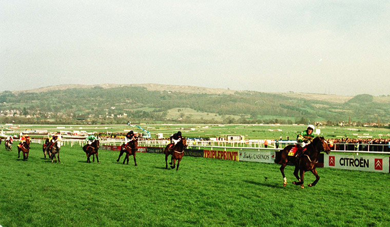 Cheltenham Retrospective: Istabraq Wins Champion Hurdle at the Cheltenham Festival