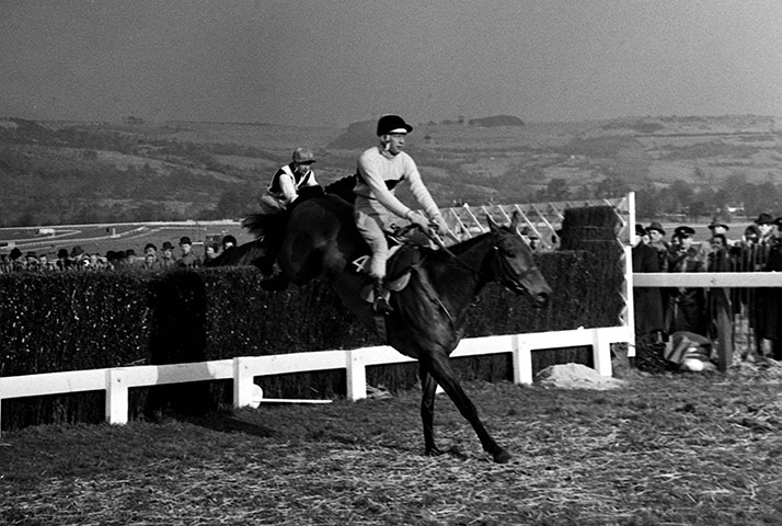 Cheltenham Retrospective: The Duchess of Westminster's Irish trained horse Arkle ridden by P. Taaffe