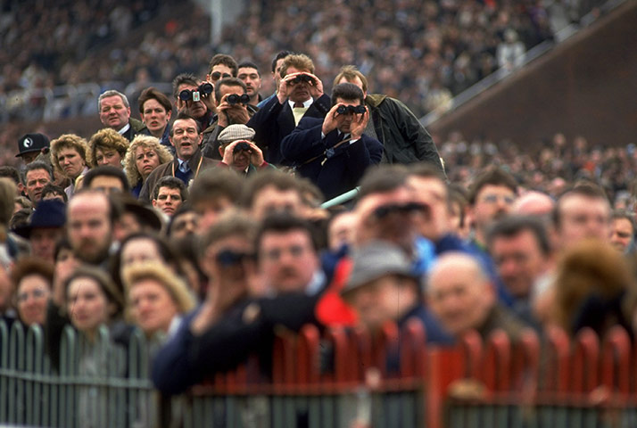 Cheltenham Retrospective: The crowd watching a race at the Cheltenham Festival