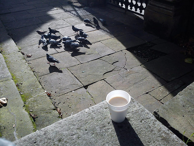 Connection at St Martin’s: Tom: Pigeons and Tea