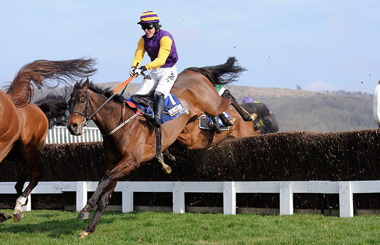 Cheltenham day three: Tony McCoy