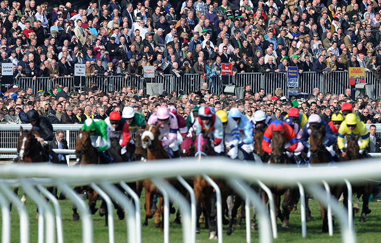 Cheltenham day three: 2nd Race