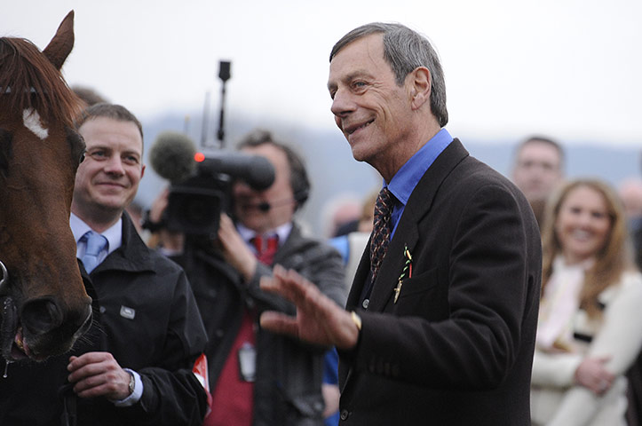 sport: cheltenham racing