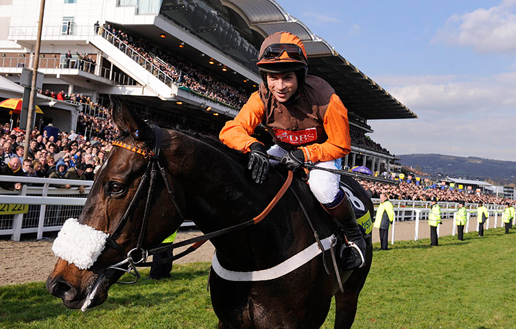 Gold Cup: cheltenham racing