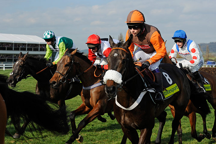 Gold Cup: cheltenham racing