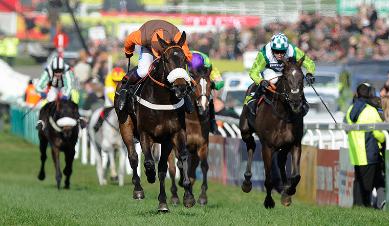 Gold Cup: cheltenham racing