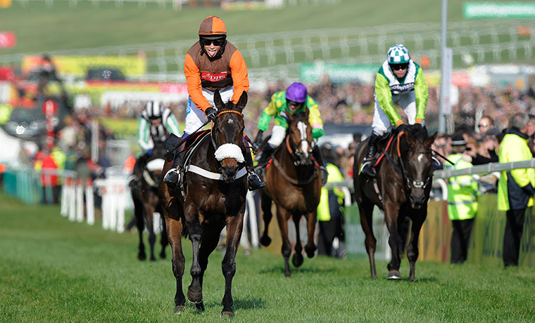 Gold Cup: cheltenham racing