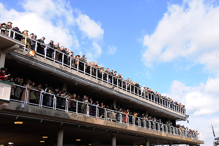 Gold Cup: cheltenham racing