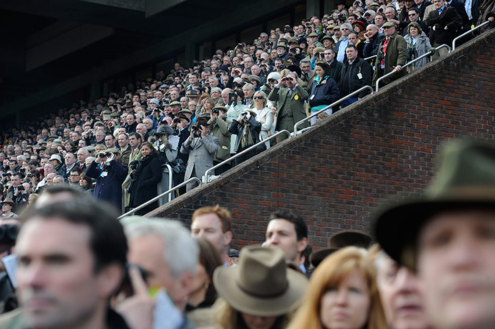 Gold Cup: cheltenham racing