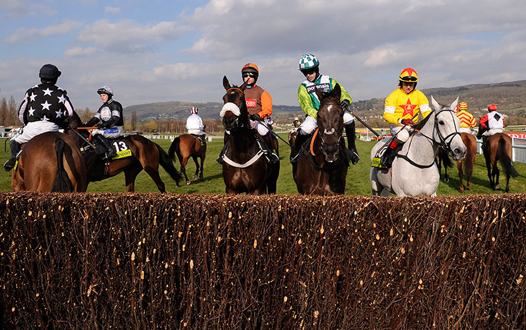 Gold Cup2: cheltenham racing
