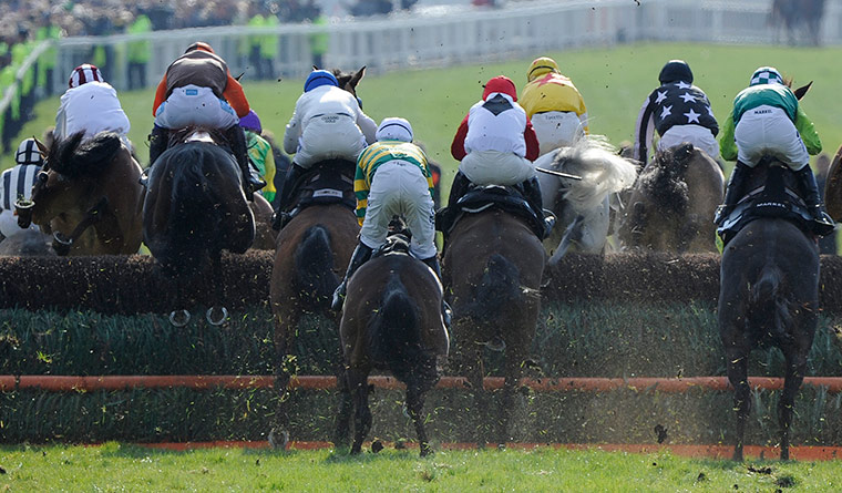 Gold Cup2: cheltenham racing