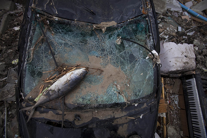 24 hours: Onagawa, Japan: A fish lies on top of a destroyed car 