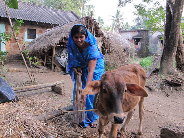 Women's day: Global Women's Voices