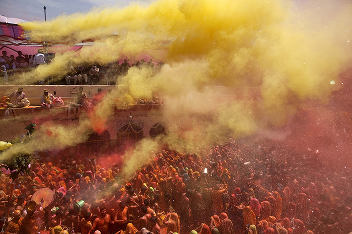 holi colour festival