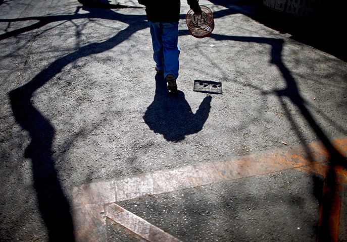 24 hours in pictures: A Chinese man carries a bird cage in Beijing