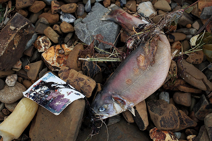Japan salvage: Personal Possessions Unearthed Amidst Japan's Rubble