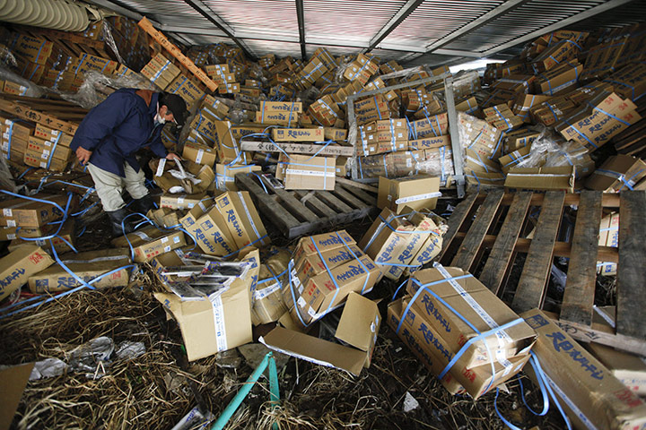 Japan salvage: A man picks up a boxof frozen salmon at a fish company's storage building