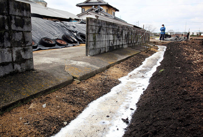 Japan Earthquake : Fukushima Daiichi nuclear power plant crisis 