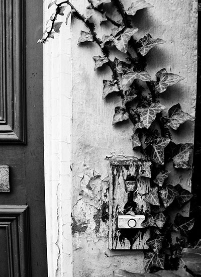 Guardian Camera Club: Feldore McHugh participates in the recession photography assignment