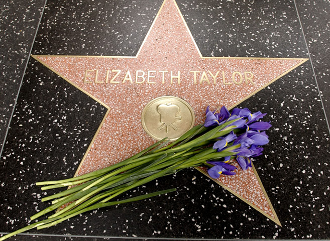 Elizabeth Taylor tribute: Tributes at the Elizabeth Taylor Star