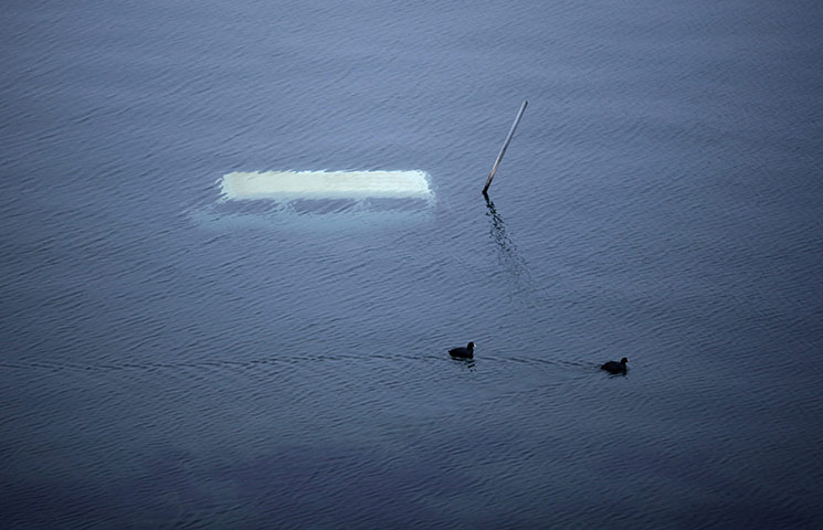 Week in wildlife: Ducks swim past a submerged vehicle after the earthquake northern Japan