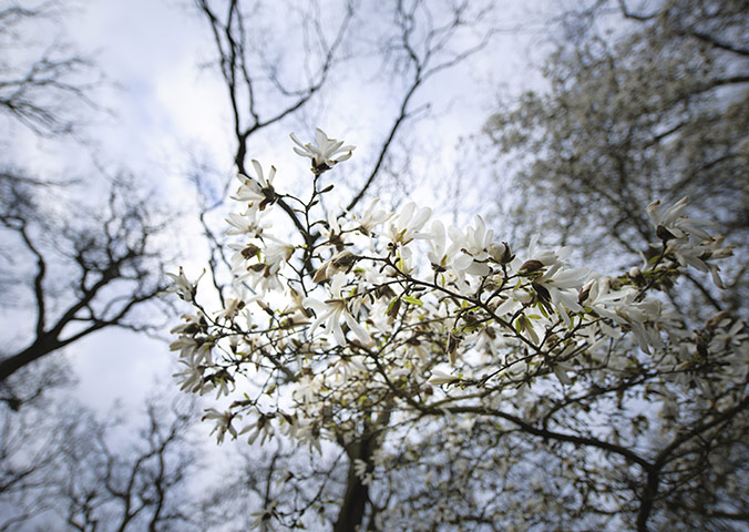 Week in wildlife: Spring arrives