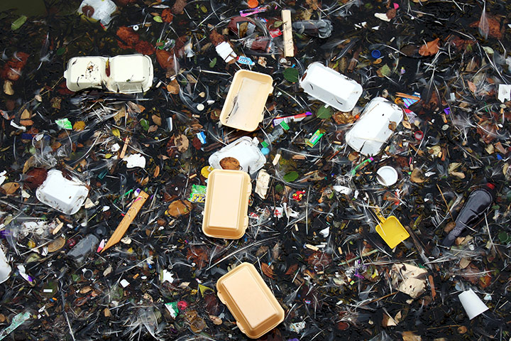 mess: rubbish in the water in Brighton