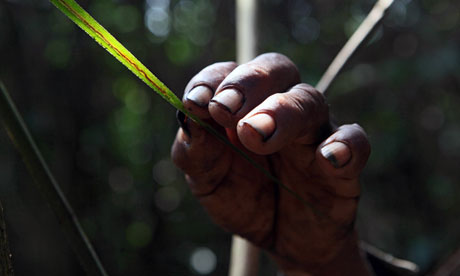 Photograph: Mayela Lopez/AFP/Getty Images