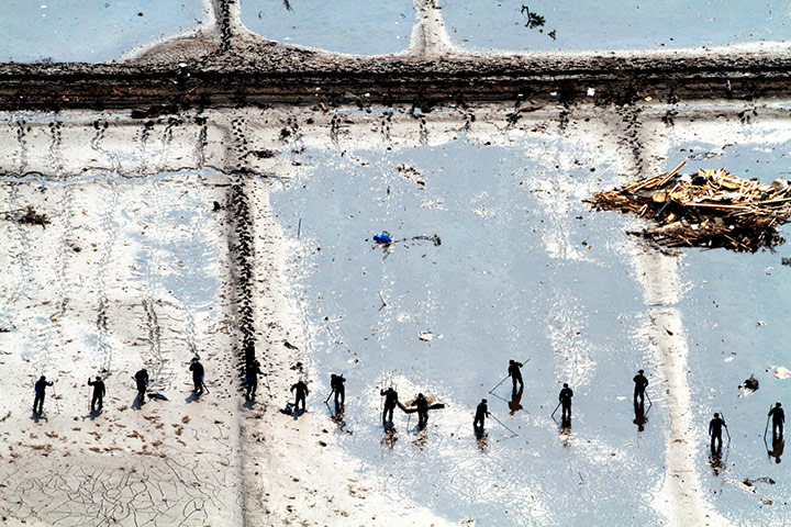 24hours : searching for victims in a flooded field in Japan