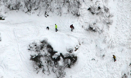 The Avalanche Guardian