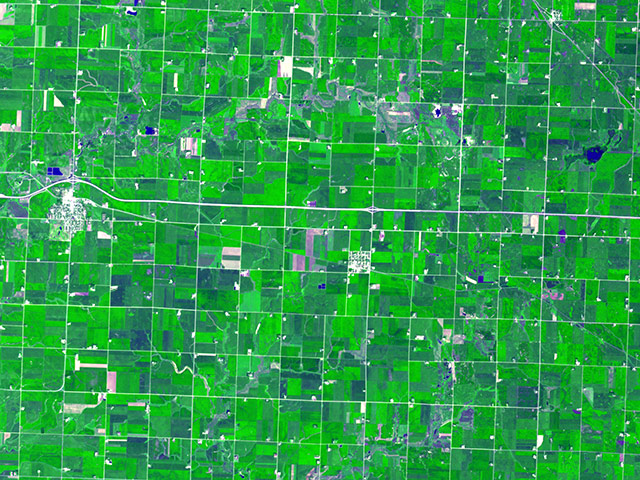 Agricultural Pattern: In Minnesota 