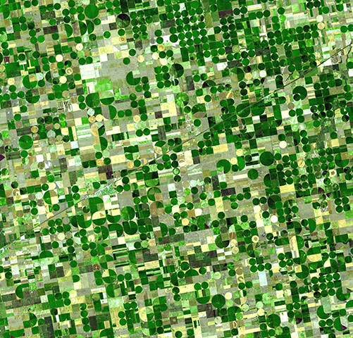 Agricultural Pattern: crop circles southwestern Kansas