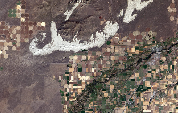 Agricultural Pattern: St Anthony, Idaho