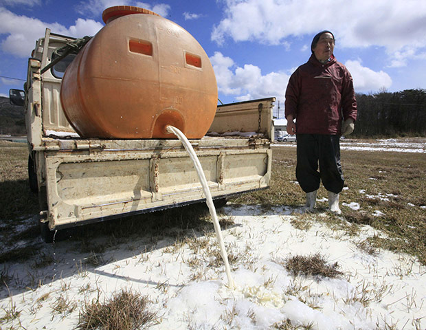 Japan earthquake: Fukushima nuclear accident  A dairy farmer empties out raw milk 