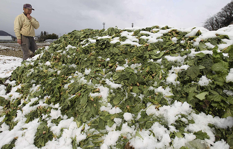 Japan earthquake: Fukushima nuclear accident : 