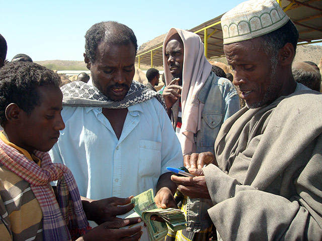 Pastoralism in crisis: Through horn of Africa : Ethiopia