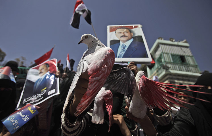 24 hours in pictures: Supporters of President Ali Abdullah Saleh in Yemen