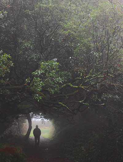 In pictures: rebirth: tunnel of light
