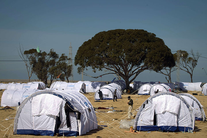 migrant workers flee : Niger refugees who fled Libya 