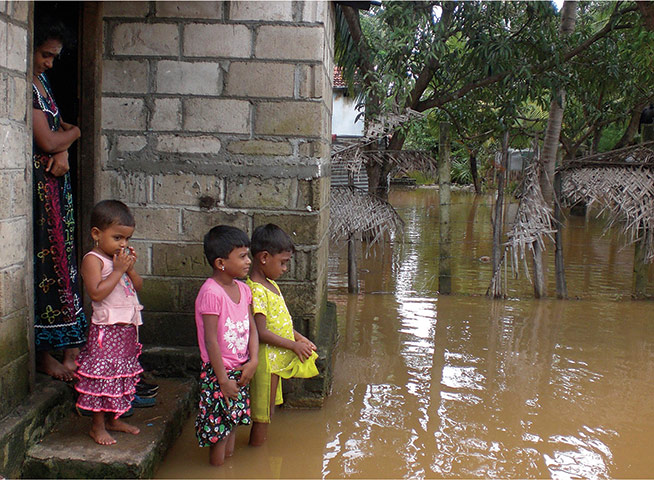 2011 disasters: 2011 disasters