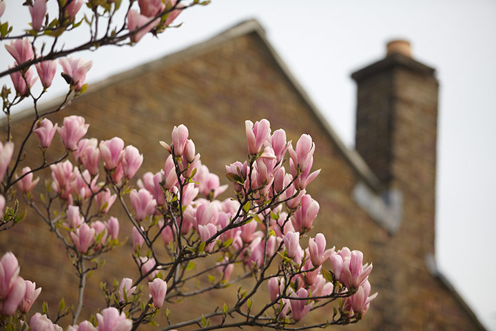 Guardian Camera Club: Use the shapes and tones around you as a background