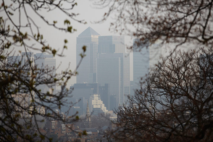 Guardian Camera Club: A view of Canary Wharf through the new buds on the trees