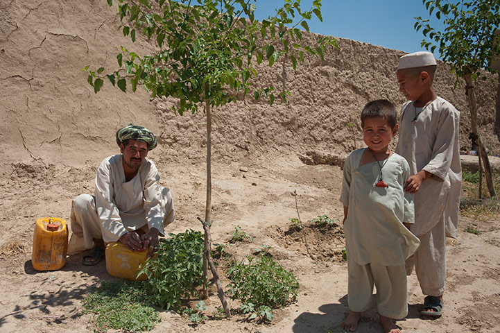 Missing Midwives: childbirth, Arab Qarleq village, Jawzjan Province, Northern Afghanistan