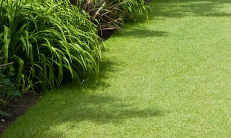 Garden week: Lawns