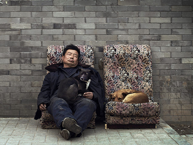 from the agencies: A man sleeps with stray dogs in a hutong 