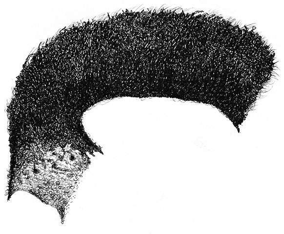 Whose hair is this?: Whose hair is this?