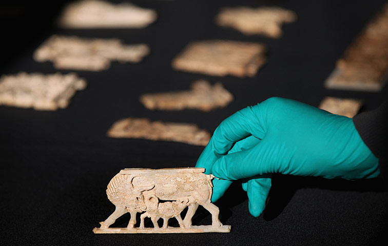 Nimrud Ivories: A technician at the British Museum holds a carved ivory cow